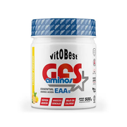 GFS AMINOS 500GR