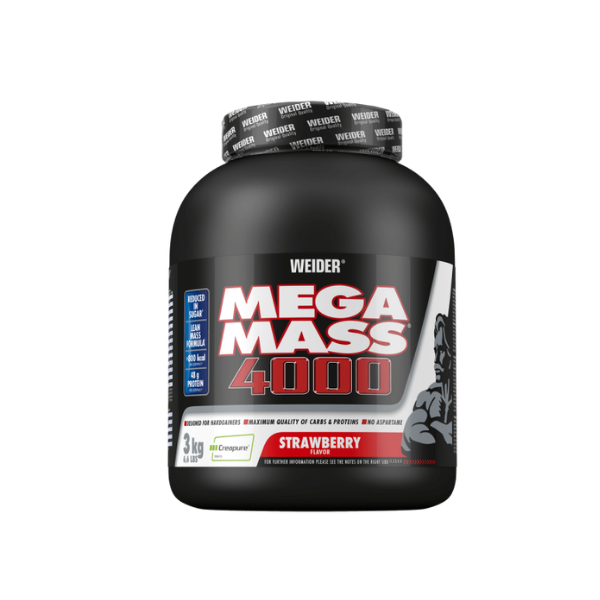 MEGA MASS 4000 3KG